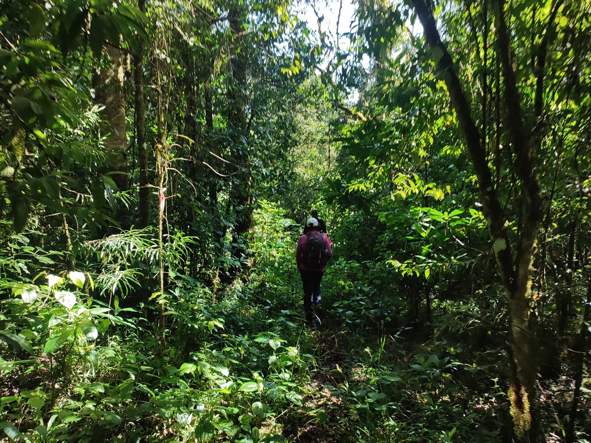NYANDUMA FOREST TRAIL