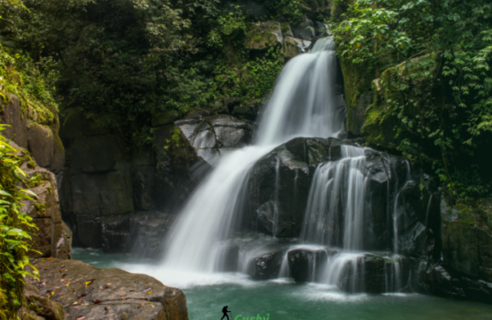 Ngare Ndare Forest Hike