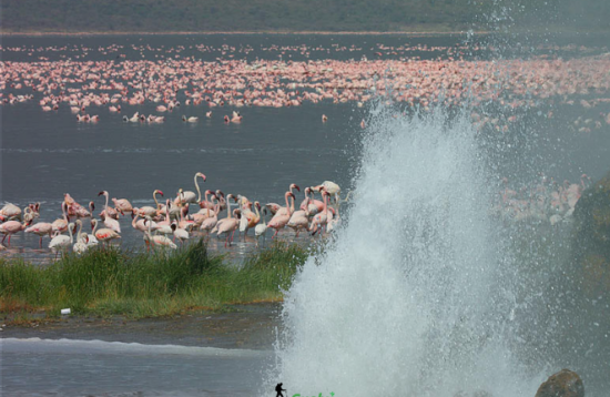 Lake Baringo & Bogoria Camping