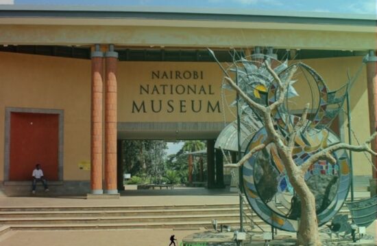 Nairobi National Museum snake park3