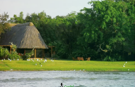 Rusinga & Takawiri Islands By Cushy Adventures