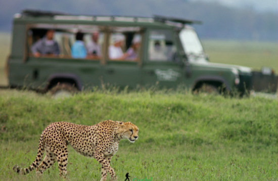 Samburu Safari Adventure 001