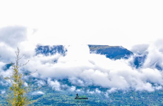 Rhino Hill Hike, Aberdares Ranges