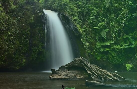 castle forest waterfall hike 001