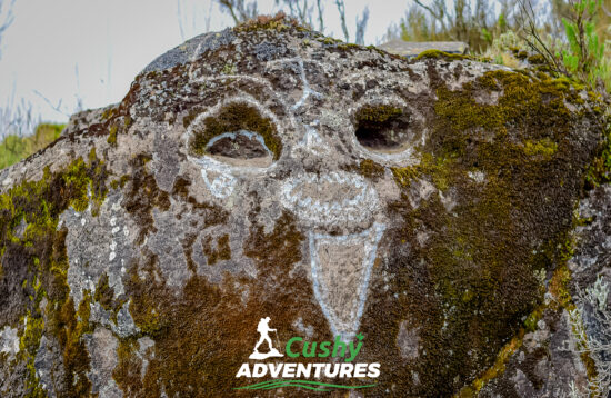 Close-up of a rugged rock on the Rurimeria Moorland hike, showcasing its rough texture and natural formations.