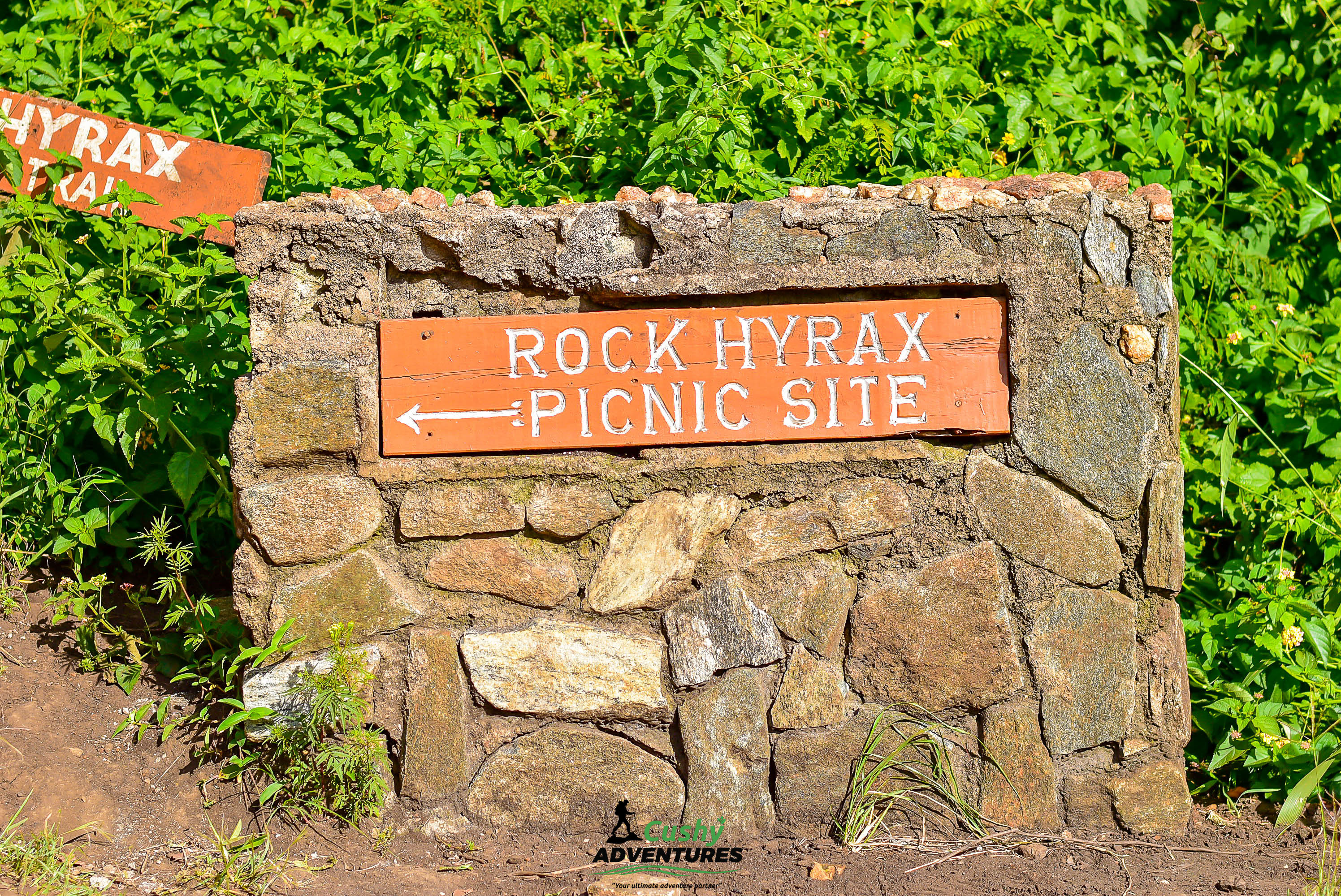 Signboard marking the Rock Hyrax Picnic Site on Mount Kilimambogo trail