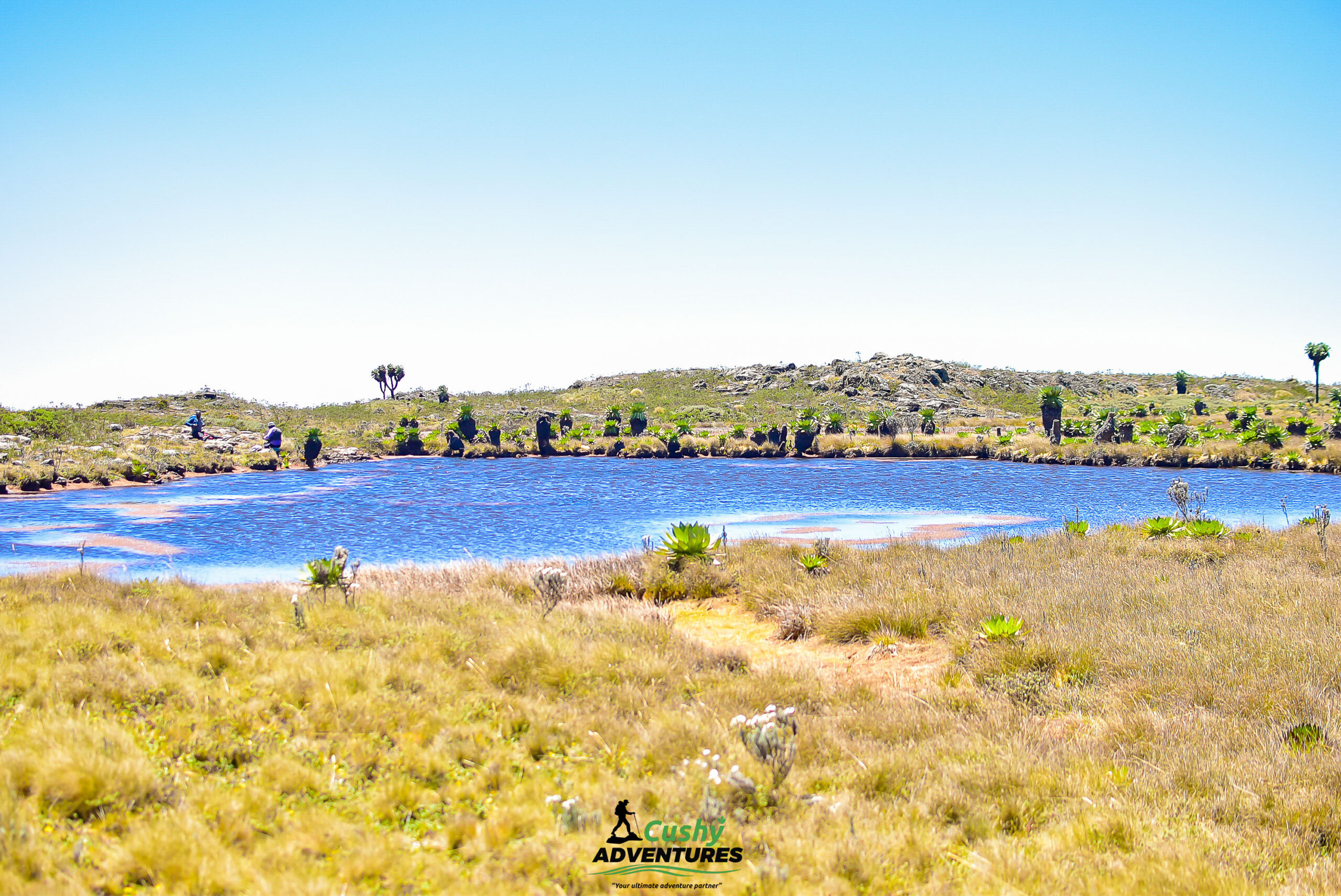 Seven shallow alpine ponds at the summit of the Seven Ponds trail in the Aberdares.