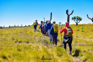 Hikers navigating the moorland trail near the Seven Ponds in the Aberdares, surrounded by grassy alpine terrain under a cloudy sky.
