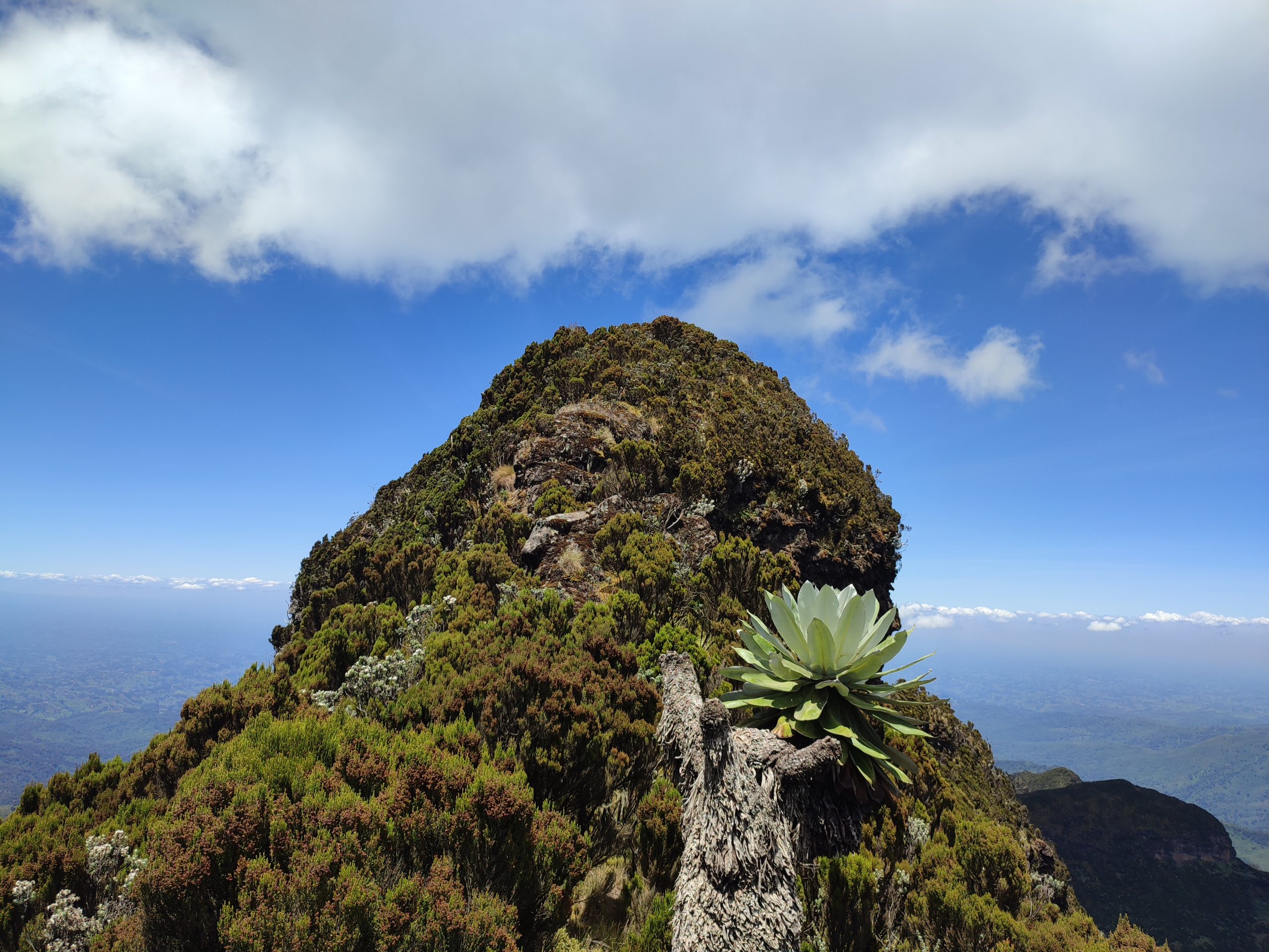 The 12 Apostles summit hill in the Aberdares