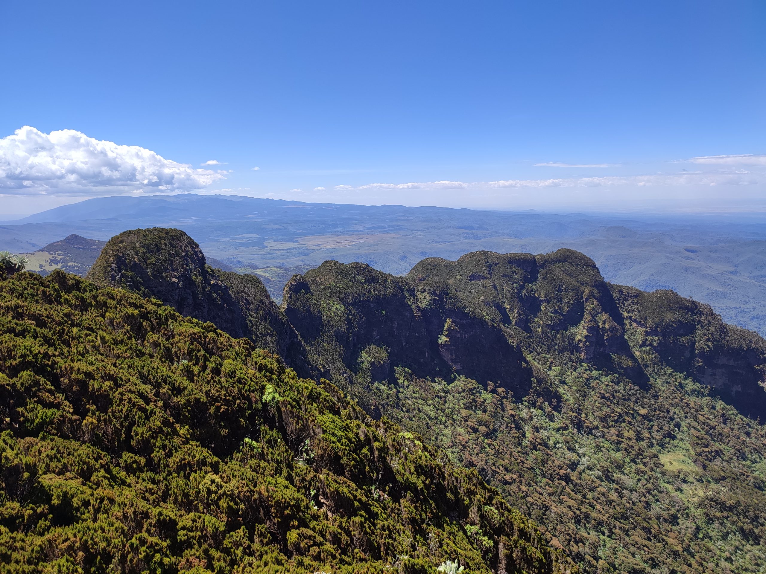 12 Apostles Summit ridge in the Aberdares under clear skies