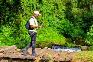 Cushy community hiker crossing stream on wooden log bridge