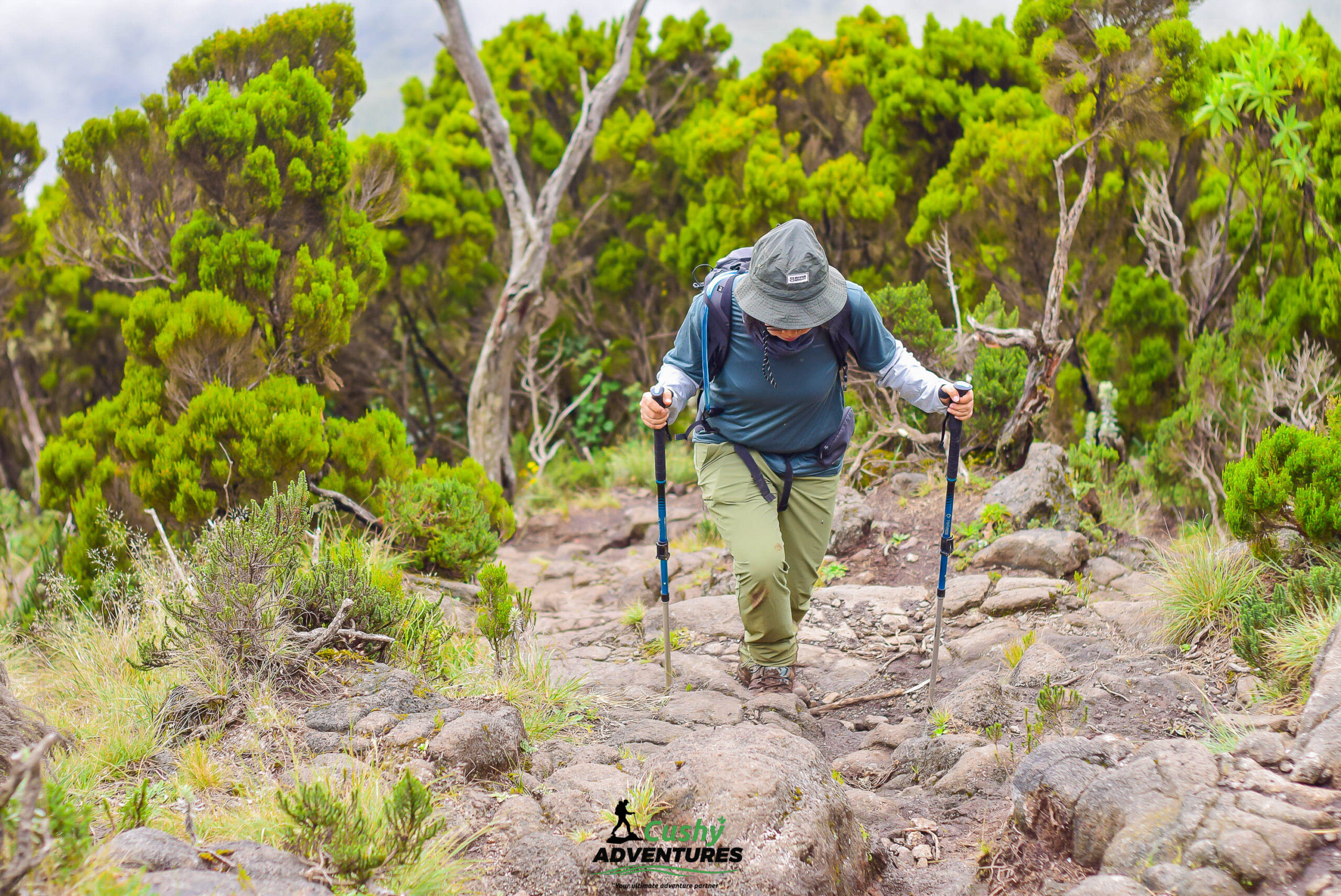 Hiker approaching the tail section of Elephant Hills trail after descending from Desperado