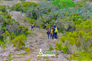 Hiking Mount Kipipiri in Aberdare Range