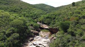Wide open view of the forest in Kenze Gorges
