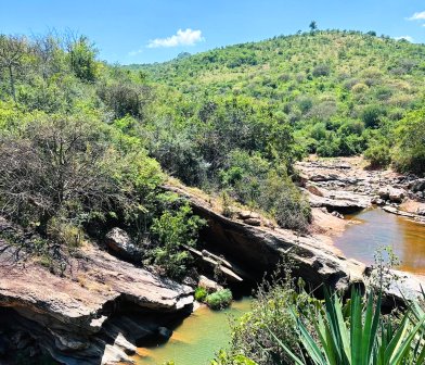 Wide open view of the forest in Kenze Gorges