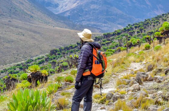 Mackinders Valley (Mt.Kenya) Day Hike