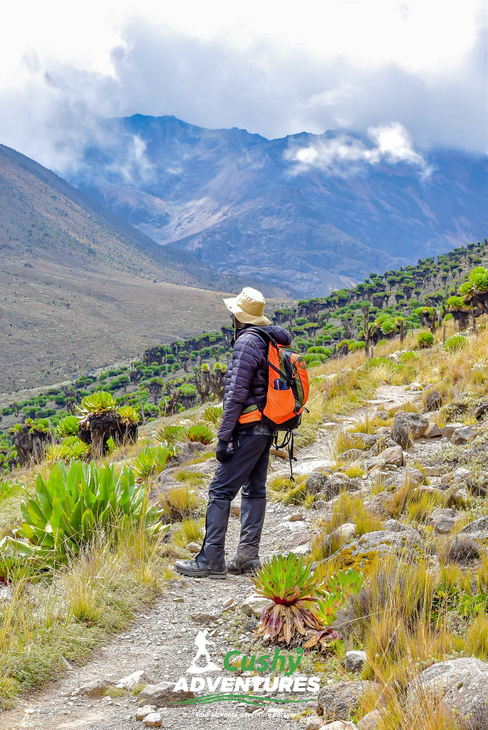 A hiker standing in Mackinders Valley with sweeping views of rugged cliffs, alpine vegetation, and Mt. Kenya’s peaks in the background